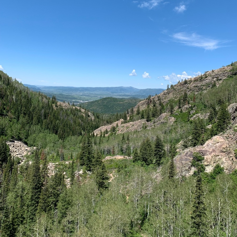 Meet your Posher, Cal